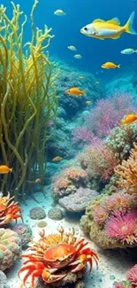 Colorful underwater coral reef with fish and marine life.