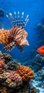 Colorful coral reef with vibrant fish underwater.