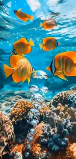 Colorful fish swimming over corals in an underwater scene.