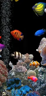 Colorful underwater coral scene with fish.