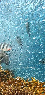 Vibrant underwater scene with coral and fish in clear blue water.