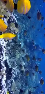 Colorful coral reef with yellow fish