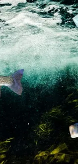 Underwater scene with fish and diamond, aquamarine dominates.