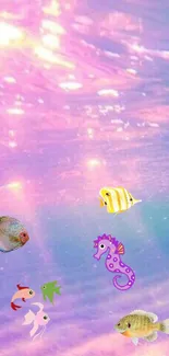 Vibrant pink underwater wallpaper with colorful fish and seahorse.