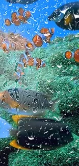 Colorful fish swimming in vibrant coral reef underwater scene.