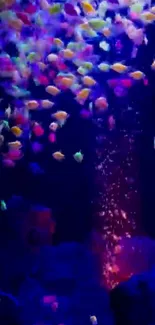 Colorful fish swimming in a vibrant underwater aquarium scene.