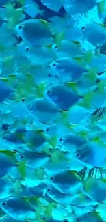 Vibrant blue fish swimming in clear waters with a vivid underwater background.