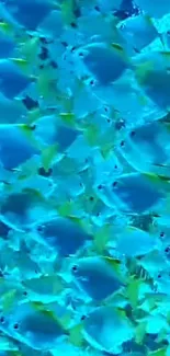 Blue and yellow fish swarm in underwater scene.