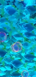 Vibrant blue fish swimming underwater with bubbles in a dynamic mobile wallpaper.