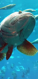 A vibrant underwater scene with diverse fish swimming in clear blue ocean.