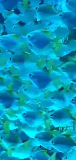 Vibrant blue underwater scene with numerous colorful fish.