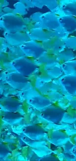 Vibrant school of blue fish underwater in dynamic aquatic scene.