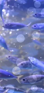 Vibrant underwater scene with fish and bubbles.