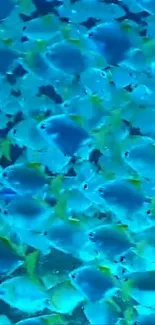 Blue fish swimming in a vibrant underwater scene.