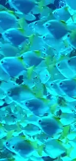 Vibrant school of fish swimming in the ocean