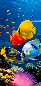 Colorful fish swimming in vibrant coral reef underwater.