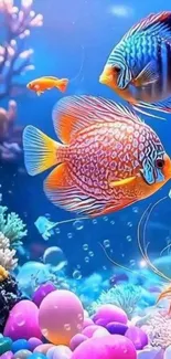 Colorful underwater scene with tropical fish.