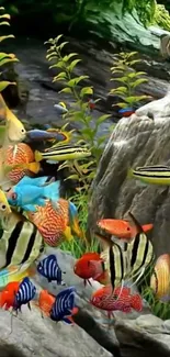 A vibrant underwater scene featuring colorful tropical fish and lush greenery.