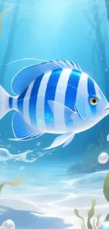 Blue striped fish swimming underwater