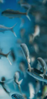 Underwater scene with a school of fish swimming in blue ocean.