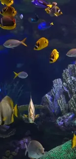 Colorful tropical fish swimming in a vibrant aquarium scene.