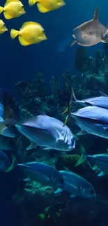 Vibrant underwater fish scene with colorful aquatic life and deep blue ocean.