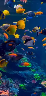 Vibrant underwater scene with colorful tropical fish and corals.