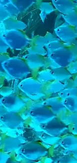 A vibrant school of fish swimming underwater with a dominant cyan color scheme.