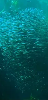 A vibrant swirl of fish underwater, showcasing marine life.