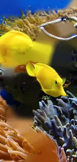 Bright yellow fish swim among colorful corals underwater.