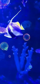 Colorful fish swims in vibrant underwater scene with bubbles and coral.