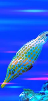 Vibrant fish with yellow spots in a blue ocean background.