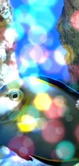 Colorful fish with bokeh lights in an underwater scene wallpaper.