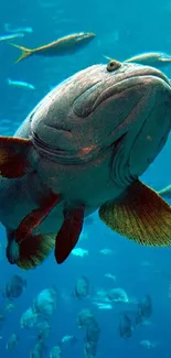 Large fish swimming in vibrant blue underwater scene.