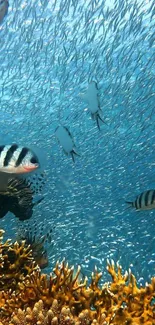 Vibrant underwater scene with fish and coral in the ocean.