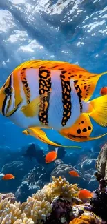 Colorful tropical fish swimming in vibrant coral reefs underwater.