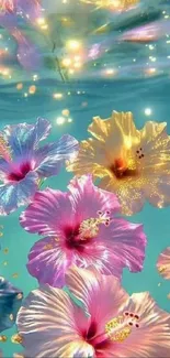 Colorful hibiscus flowers in an underwater scene.