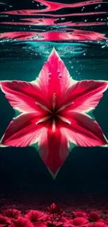 Vibrant pink flower with underwater effect for mobile wallpaper.