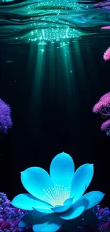 Underwater scene with glowing blue flower and colorful coral reefs.