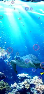 Vibrant underwater wallpaper with sea turtle and colorful corals.