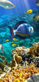 Colorful underwater scene with vibrant fish and coral reefs.