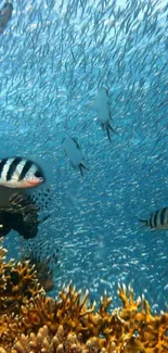 Vibrant underwater scene with fish and coral reefs.