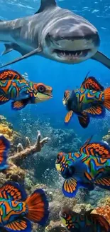 Vibrant underwater scene with colorful fish and a shark in blue waters.
