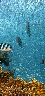 Vibrant underwater scene with corals and exotic fish swimming in the ocean.