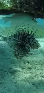 Underwater scene with lionfish among tropical fish and corals.