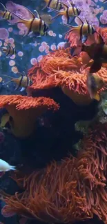 Vibrant underwater scene with clownfish and colorful corals.