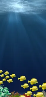 Underwater scene with yellow fish swimming in a deep blue sea.