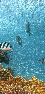 Vibrant underwater scene with coral and fish.