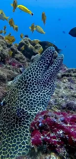 Vibrant underwater scene with coral and colorful marine life.