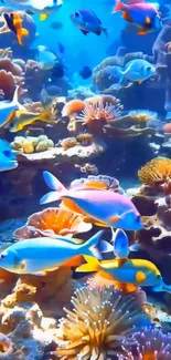 Colorful fish swimming in vibrant coral reef.